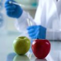 Fruits lying on lab table, scientist checking food quality, nutritional studies