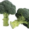 BROCOLI-RZ_Alcaraz