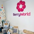 BerryWorld Navidad