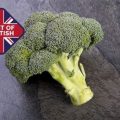 British-Broccoli-