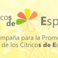 Campaña Cítricos de España 1