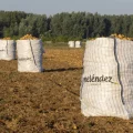 Campaña patata nueva de Patatas Meléndez