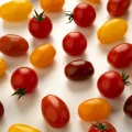 Tomate Enza Zaden