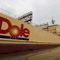 Dole