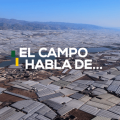 El campo habla de HM CLAUSE