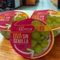 Moyca tarrina listo para consumir