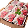 Top-Sellado Compostable es una tarrina para fresas reciclable.