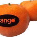 Tango Fruit cítricos