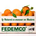 FEDEMCO