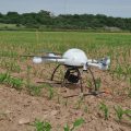 Foto_2_UAV_en_campo_de_maiz