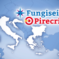 FungiseiSeipasa