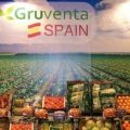 Gruventa