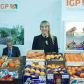 IGP cítricos valencianos 2017