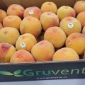 IMGEN-DE-MARCA-FRUTA-HUESO-GRUVENTA