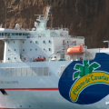 Plátano de Canarias