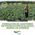 Formación de auditores CAAE