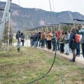 Interpoma Tours