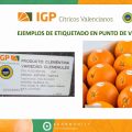 Intervención IGP en Citrus Forum (002)