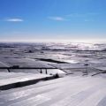 mar de plástico invernaderos