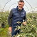 Iván Leache Berryworld Iberia