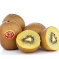 Kiwi Primland Oscar GOld