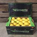 LIMONES GRUVENTA