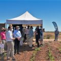 MOMENTO VISITA INAUGURAL BAYER FORWARDFARMING HACIENDA LAS CARDENAS