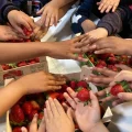 Escuela de la Fruta Mercamadrid