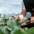 Agricultural technology farmer man using tablet computer analyzing data and morning image icon.