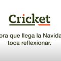 NavidadCricket