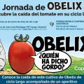 OBELIX puertas abiertas