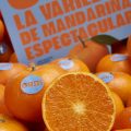 Mandarina ORRI