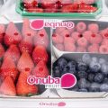 Onubafruit-web-berries