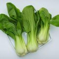 pak_choi_01