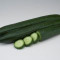 pepino