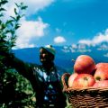 Copyright by Institut fŸr Wirtschaftsfšrderung Bozen
und SMG Bozen.
Fotografie: Frieder Blickle