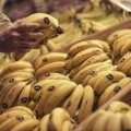Plátano de Canarias