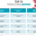 ProductoresBerries