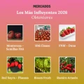 REVISTA MERCADOS - CUADRADO - 2026-07-20T150534.661 800px