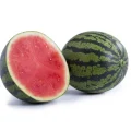 Melón y sandía Rijk Zwaan