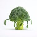 SAKATA_BROCOLI_ULYSSES_F1_2