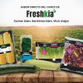 Sabor directo del campo Freshkia