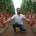 tomate innovación Semillas Fitó