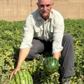 Victor García, Syngenta