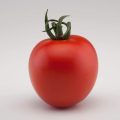 tomate