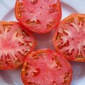 tomate rosa