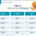 Top citricos