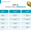 Top tropicales