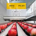 Unisorting brand of UNITEC Apples Sort 3