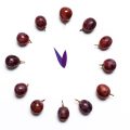 Clock of 12 piece grapes. New Year concept. Spanish tradition for the new year.